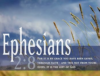 7. The reason for everything