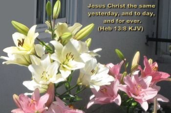 30. Shapped for serving God