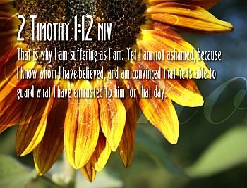 39. Balancing your life