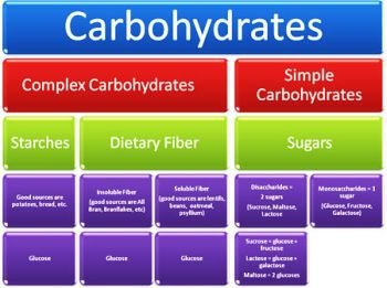 (4) Nutrition and Exercise