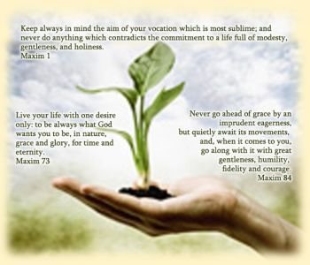 (67) Pearls of Medicine