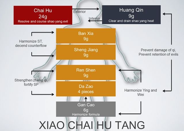 (29) Chinese Herbal Medicine