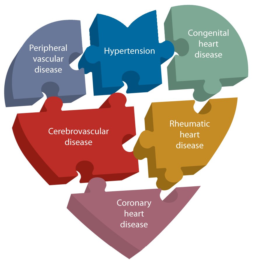 (58) Cardiovascular Disease