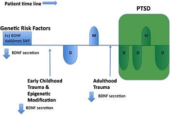 (25) Bipolar Disorder