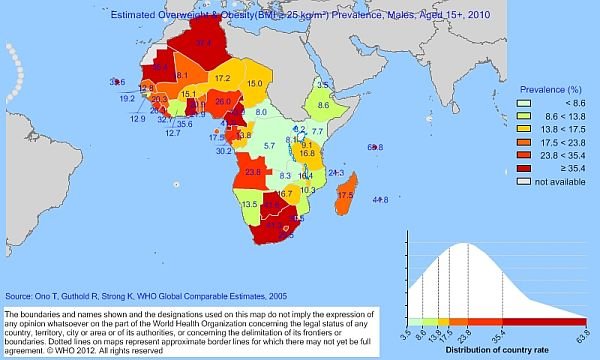 (11) Concepts of Obesity