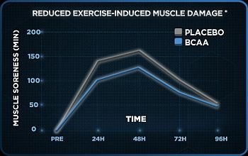 (16) Nutrition and Exercise