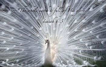 49. Have Some “Think Sessions”