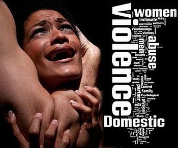 (3) Domestic Violence