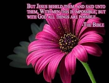 63.The World Is Wrong