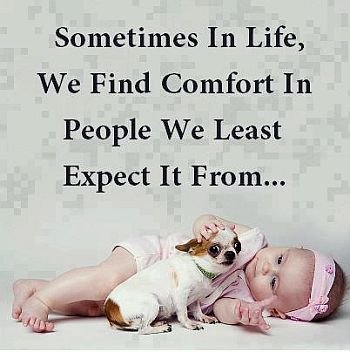 (17) Save Kids International