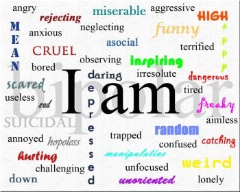 (52) Bipolar Disorder