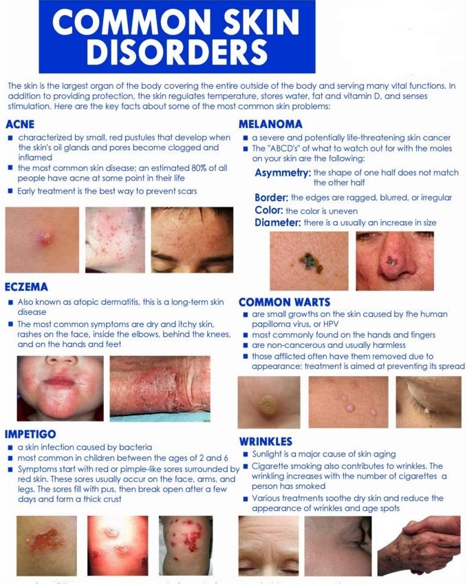 (24) Skin Disorders