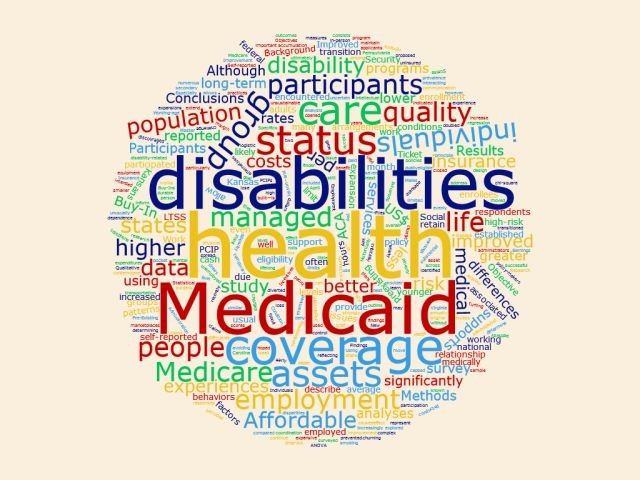 (4) Health Policies Studies